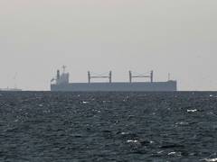 
      
      “Unfounded”: Iran Embassy denies USD 2m levy in Strait of Hormuz
      
      
