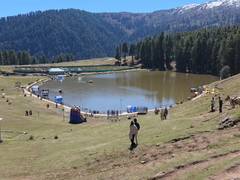
      
      JK: Tourists visit Sanasar Valley as snow clears from Patnitop...
      
      