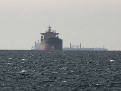 
      
      Hormuz route opened for India: Iran FM Araghchi
      
      