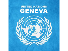 
      
      Digital cooperation key to global development goals: GIWEH
      
      