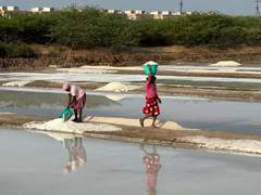 
      
      Tamil Nadu’s largest salt hub voices demand for higher relief
      
      