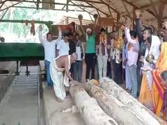 
      
      Odisha: Preparations begin for Lord Jagannath’s Rath Yatra
      
      