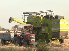 
      
      “Fertiliser has become as precious as gold or silver”: Farmers
      
      