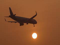 
      
      IndiGo flight makes emergency landing at IGI Airport
      
      
