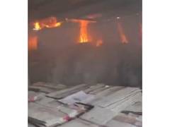 
      
      Fire breaks out at factory in Ghaziabad, no casualties reported
      
      