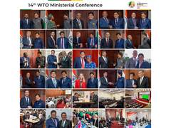
      
      India’s stance at WTO MC14 reflected in ministerial decisions: Pi
      
      