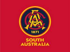 
      
      South Australia defeat Victoria in Sheffield Shield 2025-26 final
      
      