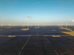 
      
      Adani Green Energy records 5 GW capacity addition in FY26
      
      
