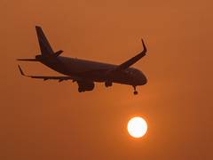 
      
      War-risk insurance costs add to Airlines woes 
      
      