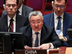 
      
      China opposes use of force in Middle East: UN envoy
      
      