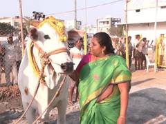 
      
      Andhra woman’s bond with bulls redefines love beyond words
      
      