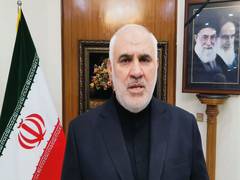
      
      Iran envoy to India Mohammad Fathali on global think tanks
      
      