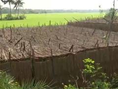 
      
      West Bengal: Singur farmers open to industry, but draw line at fe
      
      