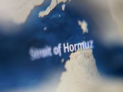 
      
      UAE joins Bahrain in urging UNSC action on St of Hormuz
      
      