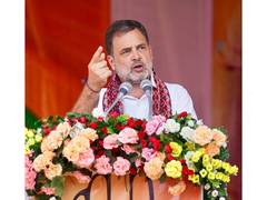 
      
      Rahul Gandhi lambasts PM Modi over LPG crisis
      
      