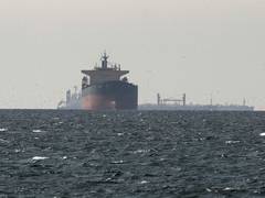 
      
      8th India-flagged LPG vessel crosses St of Hormuz: Sources
      
      