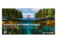 
      
      Hyundai Motor Brings World's Hidden Sea Forests Into the Light
      
      