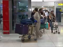 
      
      Delhi Airport urges flyers to avoid feeding community dogs
      
      