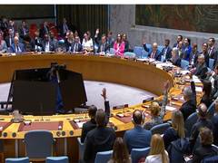 
      
      China, Russia veto Bahrain-backed UN resolution to reopen Strait
      
      