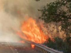 
      
      Delhi: Fire in bushes near Rajghat Bus Depot, no casualties
      
      