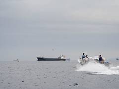 
      
      China calls for unimpeded passage in Hormuz amid Trump's threat
      
      