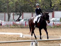 
      
      Dressage is about patience and connection with your horse: Pandya
      
      