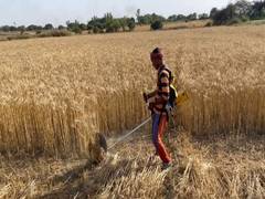 
      
      Uttar Pradesh: Farmers to be provided with 100 E-Brushcutters to
      
      