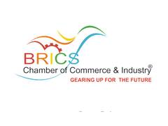 
      
      BRICS CCI announces governing body elections for 2026–2029 term
      
      