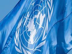 
      
      UN-backed ‘Borrowers Platform’ to provide collective voice 
      
      