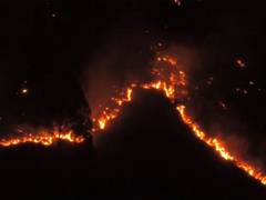
      
      Two forest fires in Nainital’s Gethiya area
      
      