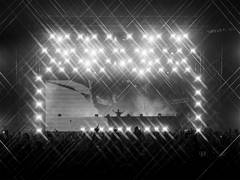 
      
      Calvin Harris ignites Delhi-NCR in historic India Tour finale
      
      