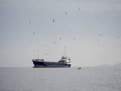 
      
      Iranian supertanker breaches 