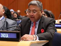 
      
      UN : Sibi George pushes forward for global south representation
      
      