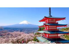 
      
      Japan Trip Cost from India: Flights, Hotels, & Daily Expenses 
      
      