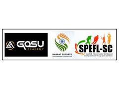 
      
      India Set to Become Global Esports Hub: SPEFL, Gosu Academy
      
      
