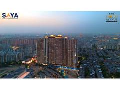 
      
      Saya Gold Avenue Sees Rising Demand Among HNI Buyers
      
      