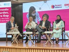 
      
      Experts meet in India to call for urgent action on dengue...
      
      
