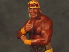 
      
      Hulk Hogan: Real American docu-series out
      
      