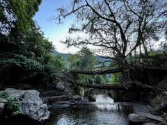 
      
      Muddie Trails Crosses 50,000 Travelers and Opens New Journeys
      
      