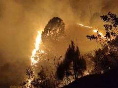 
      
      Uttarakhand: 20 forest fire incidents reported in Rudraprayag
      
      