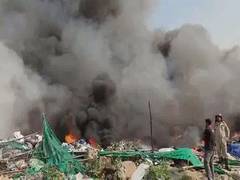 
      
      Fire breaks out in Majlis Park forest area in Delhi
      
      