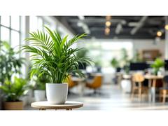 
      
      Stylish Greenery Ideas for Every Workspace
      
      