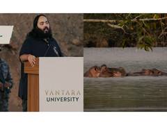 
      
      Anant Ambani urges Colombia to stay lethal removal of 80 hippos
      
      