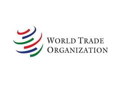 
      
      WTO dispute settlement paralysis, evolving trade challenges...
      
      