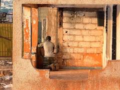
      
      India condemns terrorist attacks in Mali
      
      