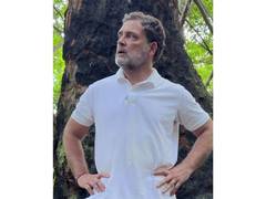 
      
      Rahul Gandhi alleges 