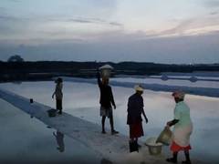 
      
      TN: Salt pan workers begin shift at 1 AM to escape severe heat
      
      