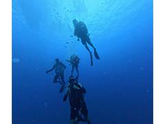 
      
      India, Sri Lanka reaffirm maritime partnership at DIVEX 2026
      
      