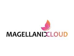 
      
      Magellanic Cloud Limited Announces $11 Million UAV Joint Venture
      
      