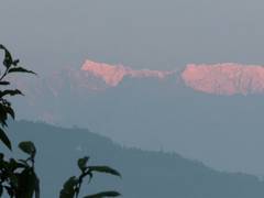 
      
      Nepal Airlines issues apology for 'cartographic inaccuracies'
      
      